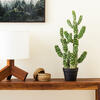 Vickerman Artificial Potted Cereus Cactus - view 2 of 7