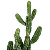 Vickerman Artificial Potted Cereus Cactus - view 7 of 7