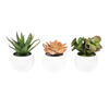 5" Green/Red/Gray Succulent Wht Pot Set3 - view 1 of 6