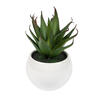 5" Green/Red/Gray Succulent Wht Pot Set3 - view 4 of 6