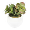 5" Green/Red/Gray Succulent Wht Pot Set3 - view 3 of 6