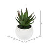 5" Green/Red/Gray Succulent Wht Pot Set3 - view 6 of 6