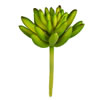 4" Green Succulent Pick 6/Pk - view 1 of 3