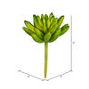 4" Green Succulent Pick 6/Pk - view 2 of 3