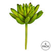 4" Green Succulent Pick 6/Pk - view 3 of 3