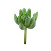 4" Red/Gray Succulent Pick Asst 6/pk - view 2 of 4