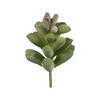 4" Red/Green Succulent Pick Asst 6/Pk - view 2 of 4