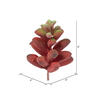 4" Red/Green Succulent Pick Asst 6/Pk - view 3 of 4
