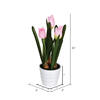 10" Pink Tulips in White Pot 2/Pk - view 2 of 3
