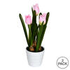 10" Pink Tulips in White Pot 2/Pk - view 3 of 3