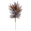 8" Green/Gray/Purple Succulent Asst 3/pk - view 4 of 5