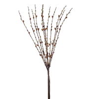 Goat Willow Bundle