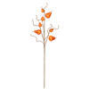 Vickerman 32" Artificial Pear Spray, 3 per bag - view 1 of 4