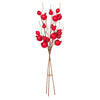 Vickerman 31" Artificial Pomegranate Spray, 3 per bag - view 4 of 4
