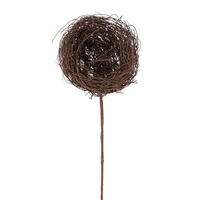 Bird's Nests