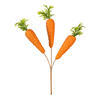 Vickerman Carrot Collection - view 1 of 5