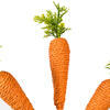 Vickerman Carrot Collection - view 3 of 5