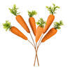 Vickerman Carrot Collection - view 5 of 5