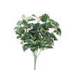 17" Pothos Leaf Bush Green/Cream - view 1 of 3