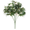 17" Green Star Ivy Bush - view 1 of 4