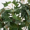 17" Green Star Ivy Bush - view 3 of 4