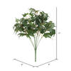 17" Green Star Ivy Bush - view 4 of 4