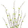 Vickerman Artificial Gray Goat Willow Bush - view 3 of 5