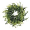 Vickerman Artificial Buckler Fern and Grass Wreath - view 1 of 3
