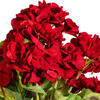Vickerman 18" Artificial Geranium Bush, 4 per Pack - view 3 of 7