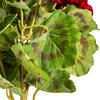 Vickerman 18" Artificial Geranium Bush, 4 per Pack - view 7 of 7