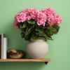 Vickerman 18" Artificial Geranium Bush - view 2 of 3