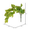24" Green Pothos Bush Vine 2/Pk - view 4 of 5