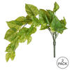 24" Green Pothos Bush Vine 2/Pk - view 5 of 5
