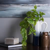 24" Green Pothos Bush Vine 2/Pk - view 2 of 5