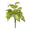 11" Green Dieffenbachia Poly Bush 3/Pk - view 1 of 5