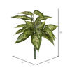11" Green Dieffenbachia Poly Bush 3/Pk - view 4 of 5