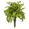 11" Green Dieffenbachia Poly Bush 3/Pk - view 5 of 5