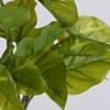12" Green Pothos Leaf Bush 3/Pk - view 3 of 5
