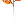 Vickerman Orange Fall Artificial Lantern, Berry, and Husk Spray, 2/bag - view 3 of 4