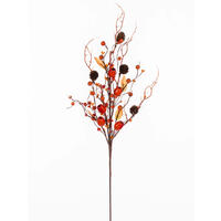 Pods/Berries/Pincones Sprays