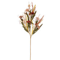 Carnation and Chinese Lantern Collection