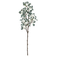 Eucalyptus