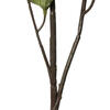 46" Green Castor Bean Leaf Spray 3/pk - view 5 of 6