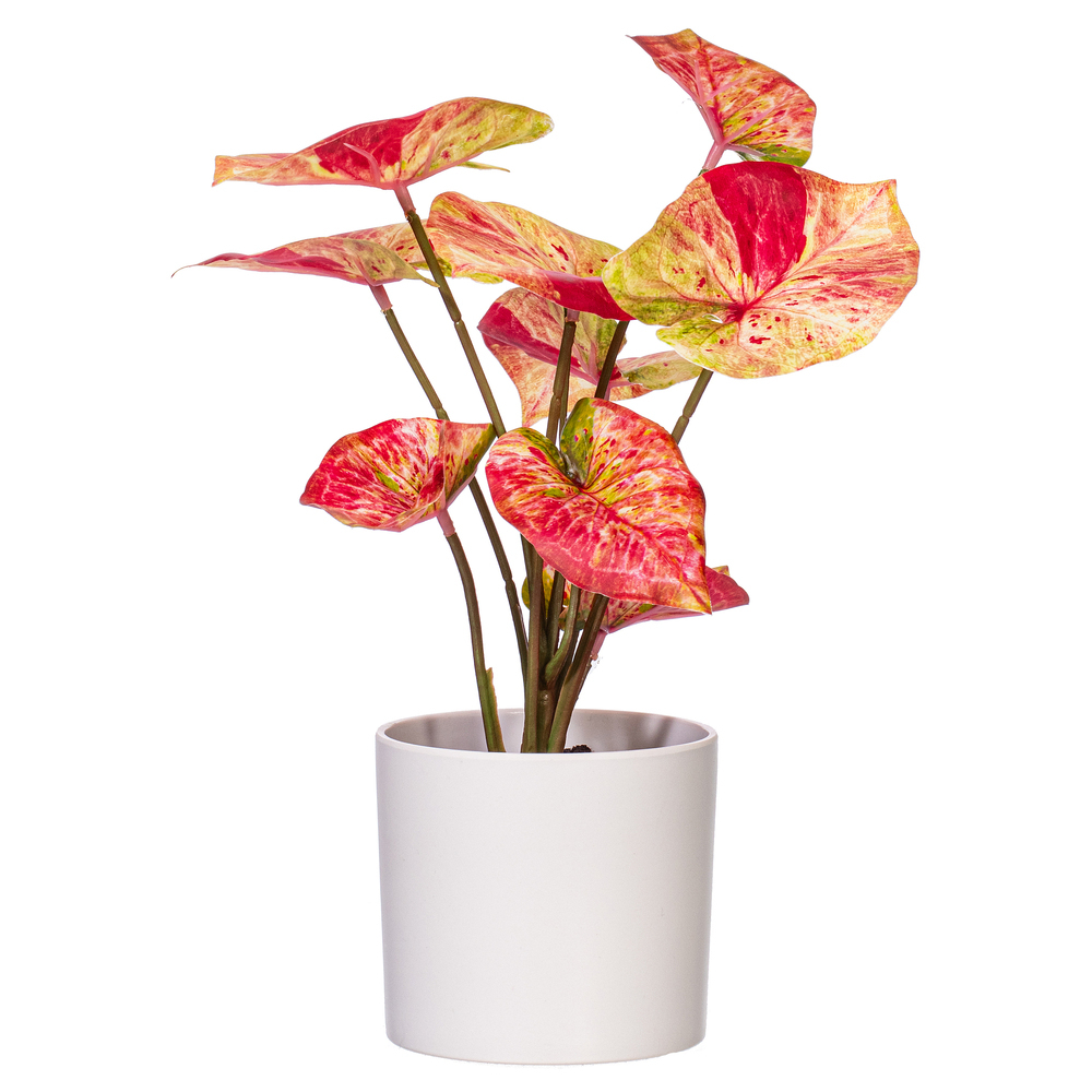 Vickerman 16" Artificial Variegated Leaves in Pot.