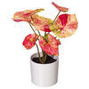 Vickerman 16" Artificial Variegated Leaves in Pot. - view 2 of 3