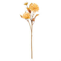 Chrysanthemum Sprays