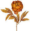 Vickerman 21" Yellow/Brown Peony Stem 6/Bag - view 2 of 4