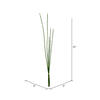 Vickerman Artificial Green Horsetail Bundle, 2/pk - view 3 of 4