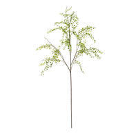 Green Leaves