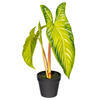 Vickerman Artificial Alocasia Potted Plant - view 4 of 4